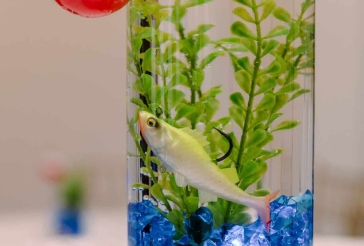 Fish Cocktail Centerpiece