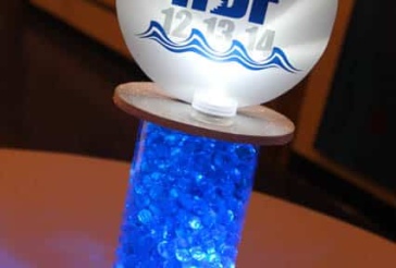 Shark Logo Centerpiece