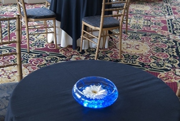 Gerber Daisy Cocktail Centerpiece