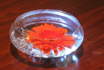 Gerber Daisy Cocktail Centerpiece