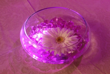 Gerber Daisy Cocktail Centerpiece