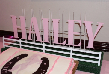 Horse Themed Candle Lighting