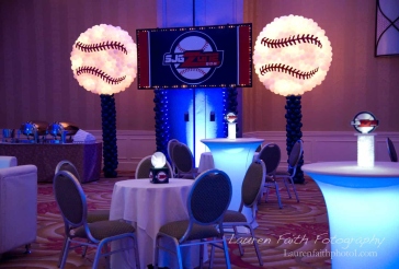 Baseball Themed Backdrop