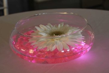 Gerber Daisy Cocktail Centerpiece