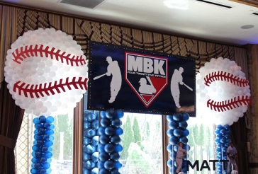 Baseball Themed Backdrop