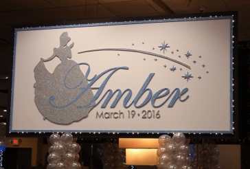 Cinderella Themed Backdrop