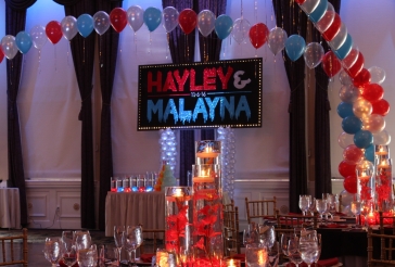 Fire & Ice Themed Backdrop