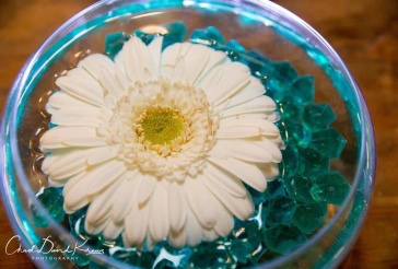 LED Gerber Daisy Centerpiece