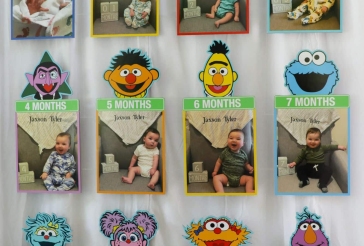 Sesame Street Backdrop
