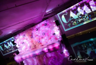 Light Pink and Silver Organic Balloon Wall