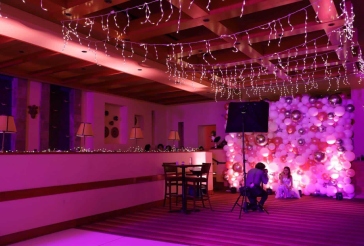 Organic Balloon Wall Backdrop