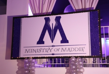 Harry Potter Backdrop