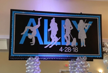 Everything Girl Themed Backdrop