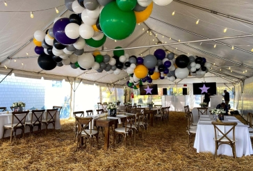Organic Balloon Garland