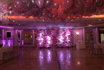 Organic Balloon Wall Backdrop