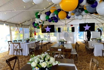 Organic Balloon Garland on Ceiling