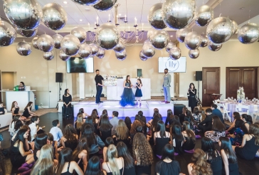 Silver Orbz Ceiling Treatment