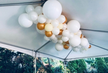 Organic Ceiling Balloon Sculpture