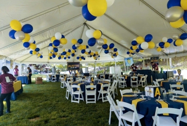 Tent Ceiling Treatment