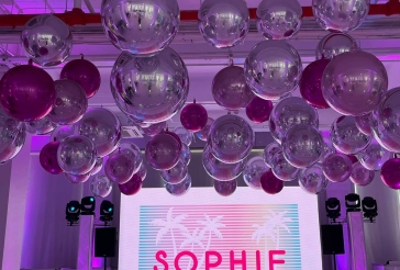 Pink and Silver Metallic Ceiling Treatment