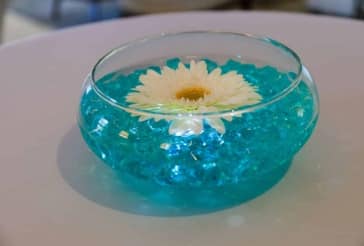Turquoise Gerber Daisy Centerpiece
