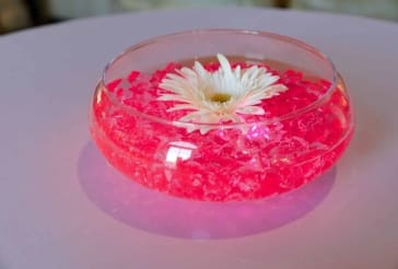Hot Pink Gerber Daisy Centerpiece