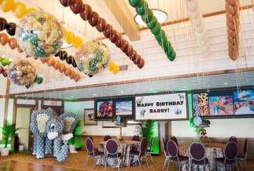 Safari Jungle Themed Birthday Party