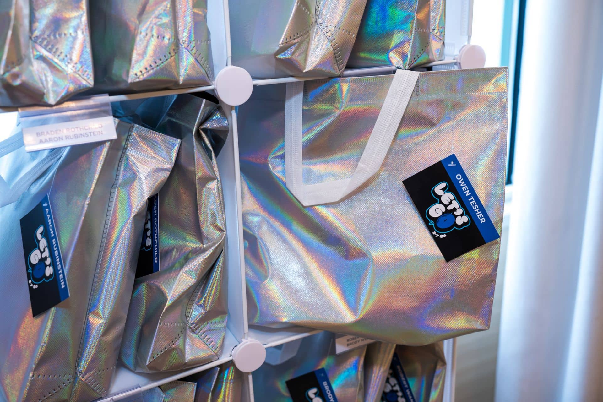 Silver Bag & Tags