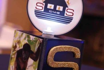 Noah's Ark Themed Centerpiece