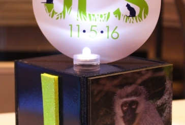 Animal Themed Centerpiece