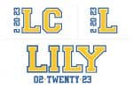 Athletic Themed Bat Mitzvah Logo Design