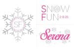 Snowflake Logo Branding