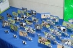 Animal Themed Place Cards