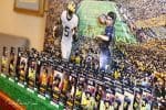 Michigan Themed Sports Tickets