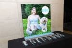 Blow Up Photo Display