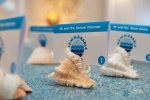 Sea Shell Place Cards