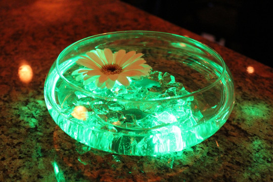 Glass Bowl with Crystal Chips & Water & Floating Gerber Daisy