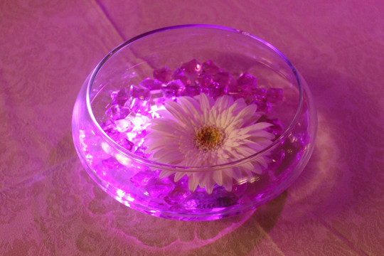 Pink Crystal Chips & LED Lights with Floating Gerber Daisy