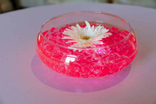 Hot Pink LED Gerber Daisy Centerpiece for Cocktail Hour