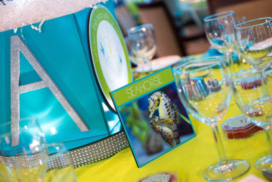 Underwater Themed Bat Mitzvah with Sea Creature Table Signs