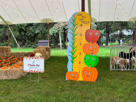 Custom How Tall this Fall Sign for Outdoor Themed Party