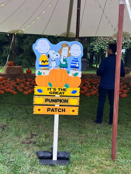 Pumpkin Patch Sign for Fall Themed Outdoor Party