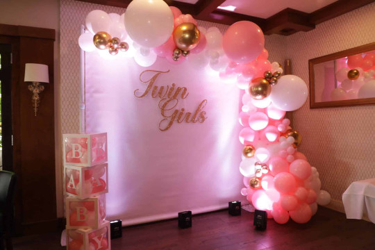 Pink & white Balloon Garland Backdrop with Baby Blocks for Twin Girls Baby Shower