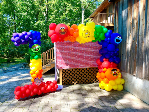 Custom Sesame Street Themed Organic Half Balloon Arch Over Custom Vinyl Backdrop and Number One Balloon Sculpture for Outdoor 1st Birthday Party