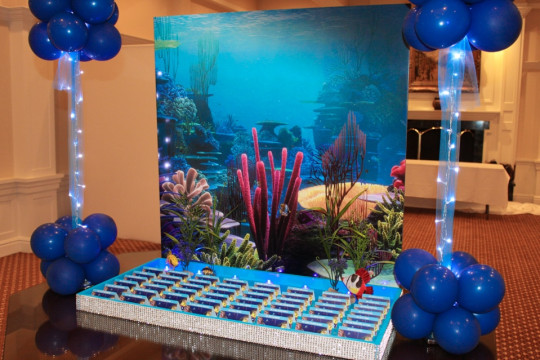 Underwater Themed Seating Card Display with Blowup Photo