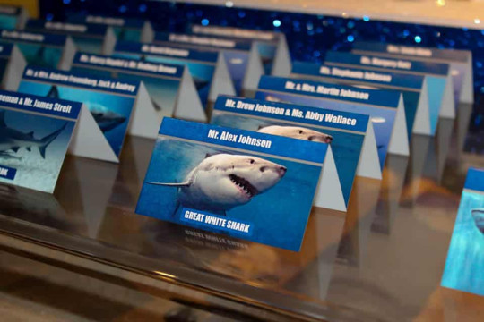 Shark Themed Bar Mitzvah Place Cards with Shark Images