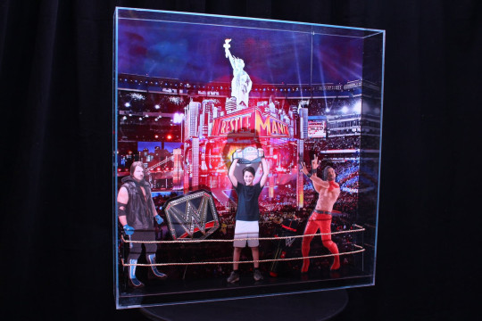 Wrestling Themed Shadow Box Sign in Board with Photo Cutouts & Props