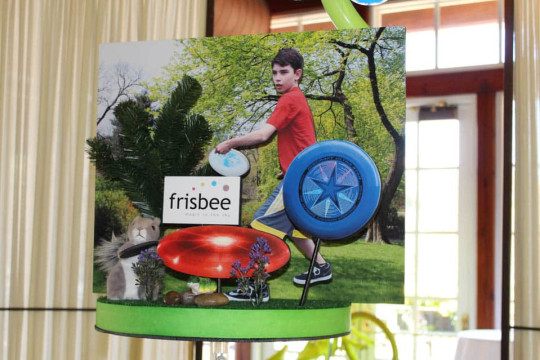 Frisbee Themed Diorama Centerpiece for Central Park Themed Bar Mitzvah