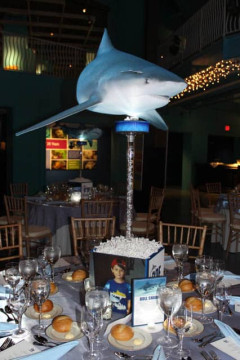 Shark Themed Bar Mitzvah Centerpiece with Custom Logo & Blowup Sharks