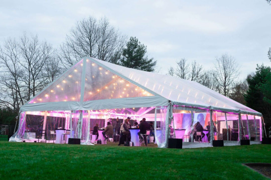 Pink Uplighting for Outdoor Tent Party